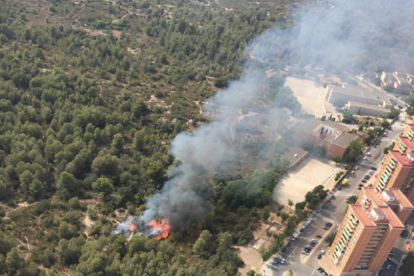 Extingit un incendi que ha cremat una zona de bosc a Sant Pere i Sant Pau