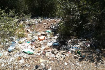 Residuos de todo tipo se acumulan al lado de los Quatre Garrofers