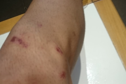 Denuncien els vigilants de seguretat de l'Estació per agressions a un jove