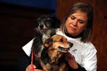 L'Última Llar imparteix un taller de tinença responsable d'animal a una cinquantena d'alumnes