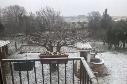 L'interior del Camp de Tarragona es desperta emblanquinat