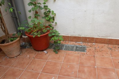 Quejas por|para la presencia de palomas en un edificio abandonado del centro de Reus
