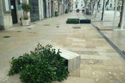Una gamberrada en la plaza de la Font acaba con jardineras tumbadas y cristales rotos