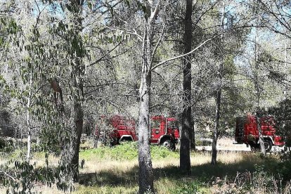 Crema una hectàrea de matolls al barri de Sant Salvador