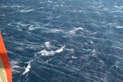 Rescaten dos bussos desapareguts a l'Hospitalet de l'Infant