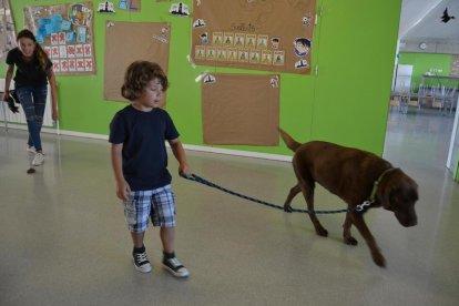 Los más pequeños aprenden a ser responsables con las mascotas en los Centros de Verano de Reus