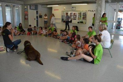 Los más pequeños aprenden a ser responsables con las mascotas en los Centros de Verano de Reus