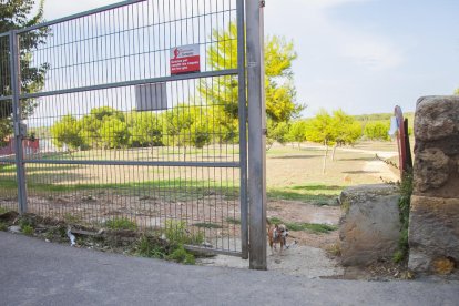 pipicà, sant pere i sant pau, tarragona