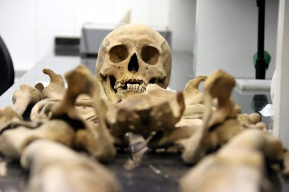 Identifiquen per primer cop una víctima de les fosses de la Guerra Civil a través del banc d'ADN dels familiars