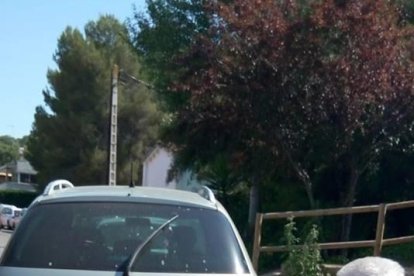 El PDeCAT titlla de «deplorable» l'estat dels accessos a les platges des de Cala Romana i Solimar