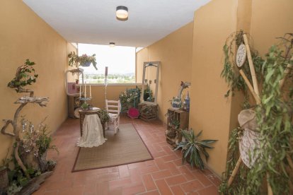 Quatre terrasses participen al 1r Concurs de Guarniment de Terrasses Comunitàries