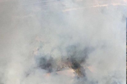 Un incendi forestal afecta el barri de Sant Salvador