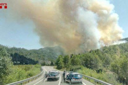 Quince dotaciones terrestres y siete aéreas de los Bomberos trabajan en un incendio en Tivissa