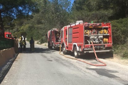 Cremen 900 metres quadrats de massa forestal al camí de Boscos de Tarragona