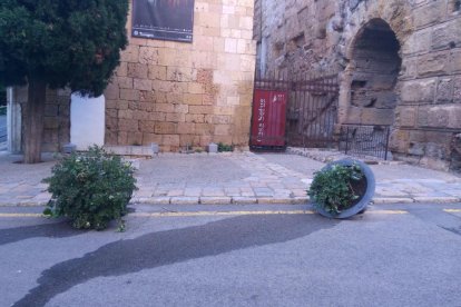 La AAVV Catedral denuncia actos vandálicos en la plaza del Pallol durante el fin de semana