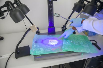 policia científica, objectes delinqüents