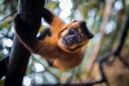«M'agrada aportar coses allà on vaig»