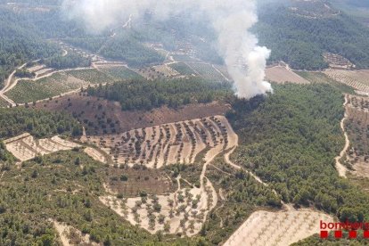 Un incendi ha cremat 5.163 metres quadrats de vegetació a Caseres