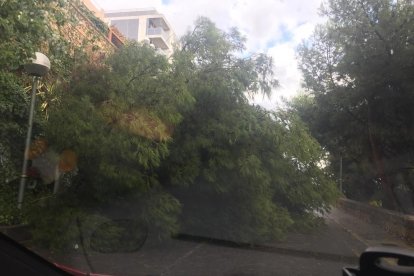 Les pluges tornen a causar estralls al Camp de Tarragona