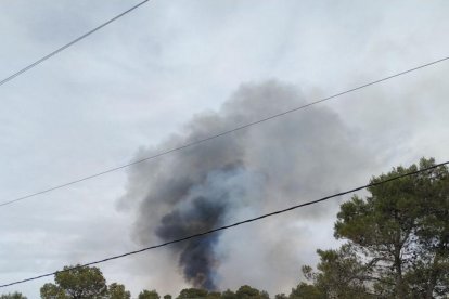 Tretze dotacions dels Bombers treballen en un incendi de vegetació a Querol