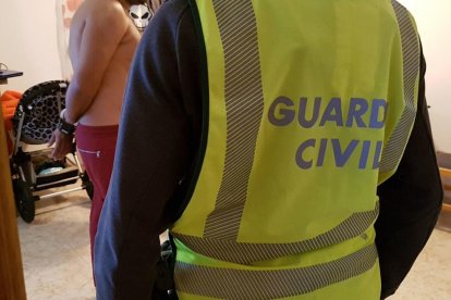 Desmanteladas dos plantaciones de marihuana con más de 800 plantas en Santa Oliva