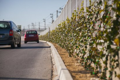 El nuevo paseo marítimo estará terminado a finales de este enero