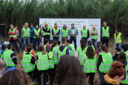 Més de 400 persones reforesten el Francolí