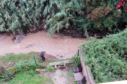 Els bombers rescaten un gos ferit al barranc de la Mare de Déu del Camí de Cambrils