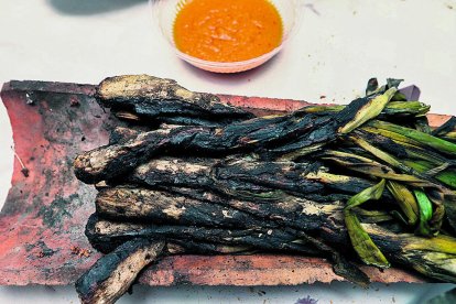 Gaudeix i degusta la tradicional calçotada, del camp a la taula, al restaurant Sol Ric de Tarragona