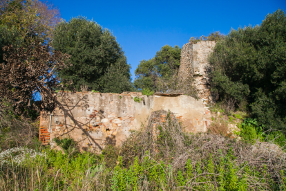 L'oblit del poblat dels Mongons el condemna a la seva desaparició