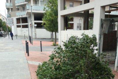 El fort vent causa estralls al Camp de Tarragona