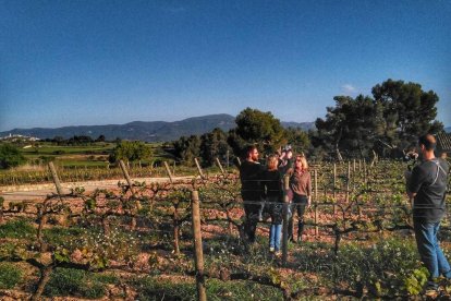 Nou vídeo promocional per la les xarxes de la Ruta del Cister