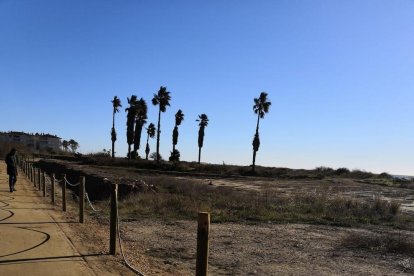 Roben l'escultura d'un cargol de mar a Coma-ruga hores després de col·locar-la