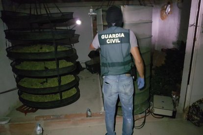Desarticulat a l'Alt Camp un grup criminal dedicat al tràfic de drogues