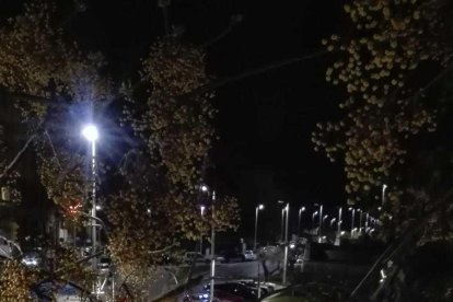 Els Bombers van retirar l'arbre de la via pública.