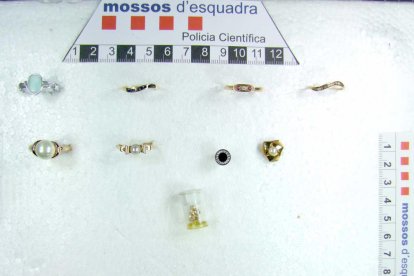 Desarticulado un grupo criminal asentado en Salou que robaba en viviendas utilizando marcadores