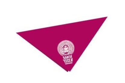 Les colles castelleres són les protagonistes del cartell de Santa Tecla 2019