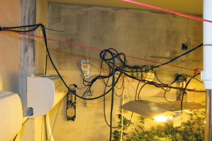 Detenen quatre persones i desmantellen dos punts de venda de marihuana i cocaïna a la Pobla