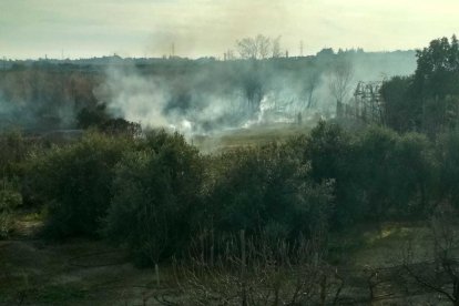 Un incendi a prop d'una benzinera posa en risc Constantí
