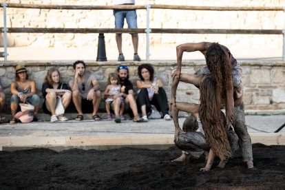 festival Danseu, dansa, espectacle