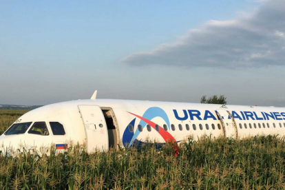 Espectacular aterrizaje de un avión sobre un campo de maíz
