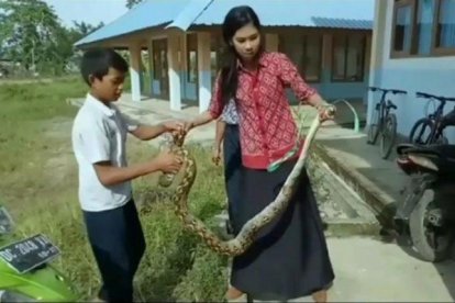Captura una serpiente para proteger a sus alumnos