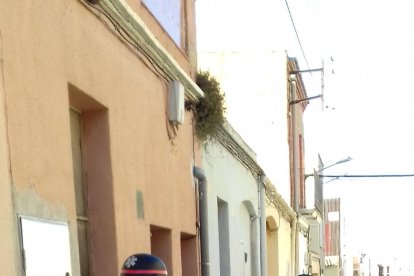 policia local, detinguda, diners, mossos d'esquadra, Quintanes, marihuana, embolcalls, operació, domicili, cocaïna, tràfic de drogues