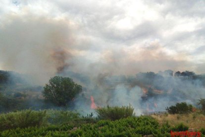 Un incendio en Corbera d'Ebre moviliza tres aviones y nueve dotaciones de Bombers