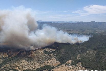 40 dotacions dels Bombers, 8 d'aèries, treballen en un incendi forestal a la Collada del Perelló