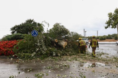 La DANA fa acte de presència a Tarragona
