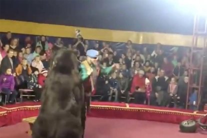 Un oso de circo ataca ferozmente a su domador en pleno espectáculo