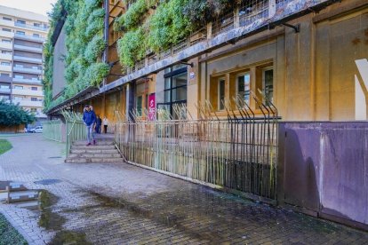 El jardín vertical del edificio de la Tabacalera continúa en estado de degradación