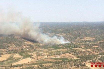 25 dotacions de Bombers treballen en un incendi entre Vinebre i la Torre de l'Espanyol