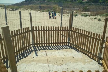 La tortuga babaua deixa 141 ous a la platja de la Pineda